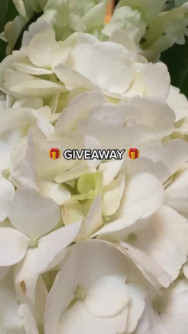 Men's Wearhouse Wedding Sweeps